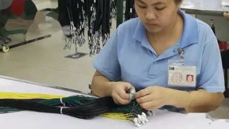 Reliable PVC 105°C 300V Wire Harness with 300mm Length and 200000 Sets/Month Production Capacity