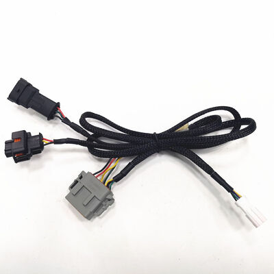 Solution de connecteur de câblage automatique Dtm06-12SA vers Mx150 durable